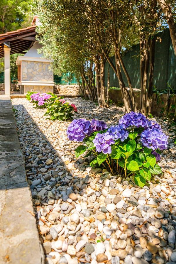 Villa Anda - Kuca Za Odmor Milna  Exterior foto